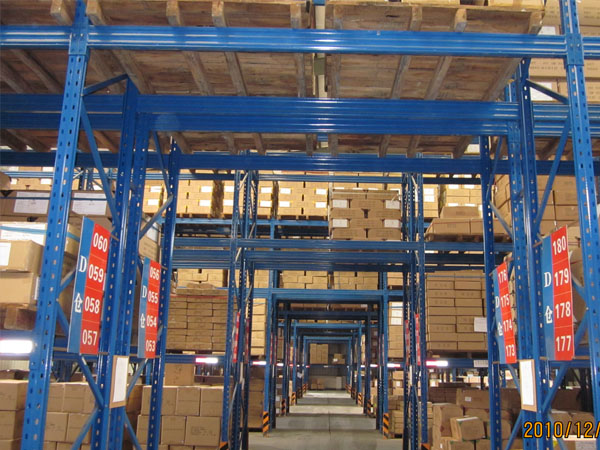 Our Services